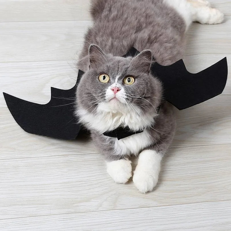 Halloween Small Pet Cat Bat Wings